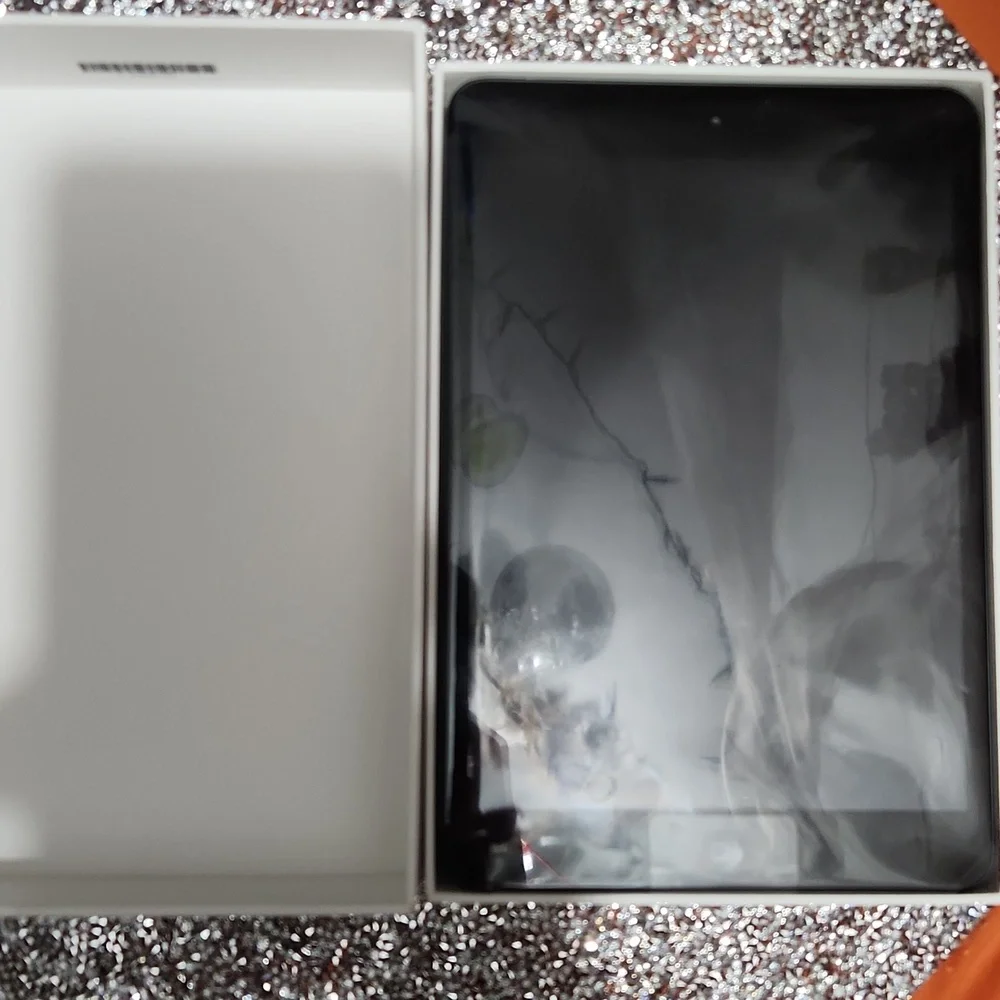 Apple I-Pad Mini WiFi 16GB black